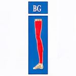 جوراب واریس بدون کفی مدل BG (مچ پا تا بالای ران) برند سگال مد - Image 2