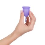 کاپ قاعدگی سایز کوچک 20 میل لیوا فارما - Image 3