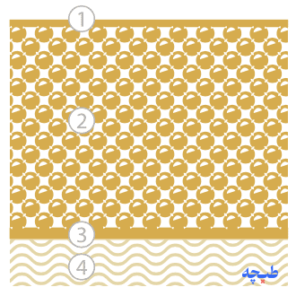 ساختار Transorbent