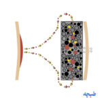 کیسه یک تکه ته باز چسب عسل مات وللند - Image 3